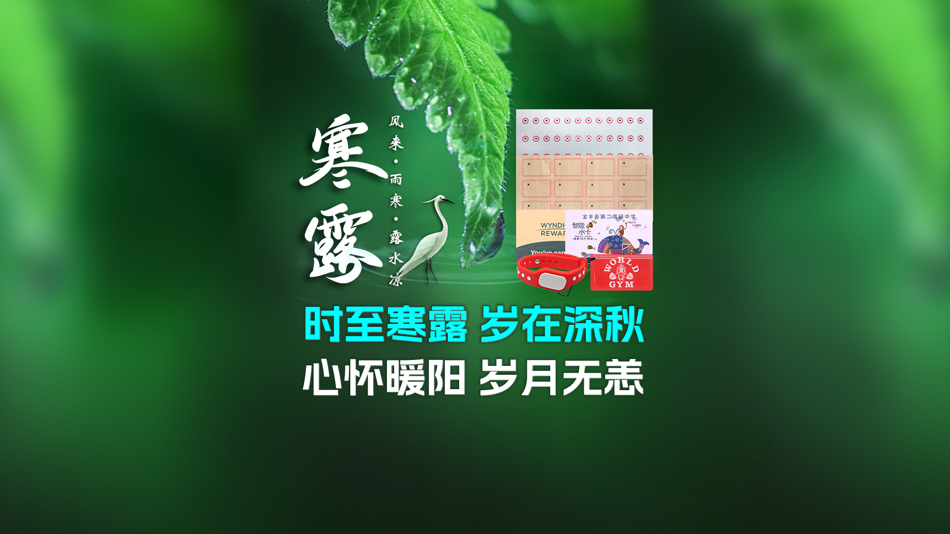 寒露至秋意濃，卡立方集團攜RFID智能卡中料木卡腕帶伴您暖度深秋